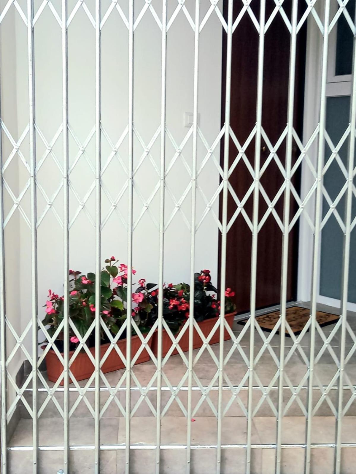 Casa Delle Begonie Apartment Rome Bagian luar foto